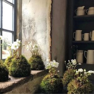 Meet your Posher, Bonny